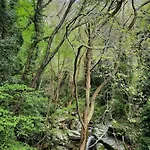 αρχοντικό κονάκι- Konaki Pelion 아파트 차가라다