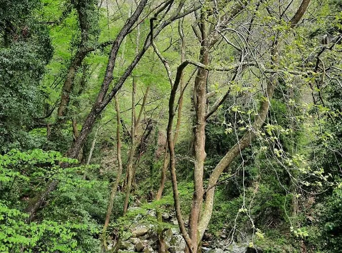 αρχοντικό κονάκι- Konaki Pelion Lägenhet Tsagarada